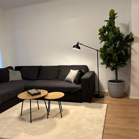 Ferienwohnung Haus Paraschiv Aue  Kültér fotó